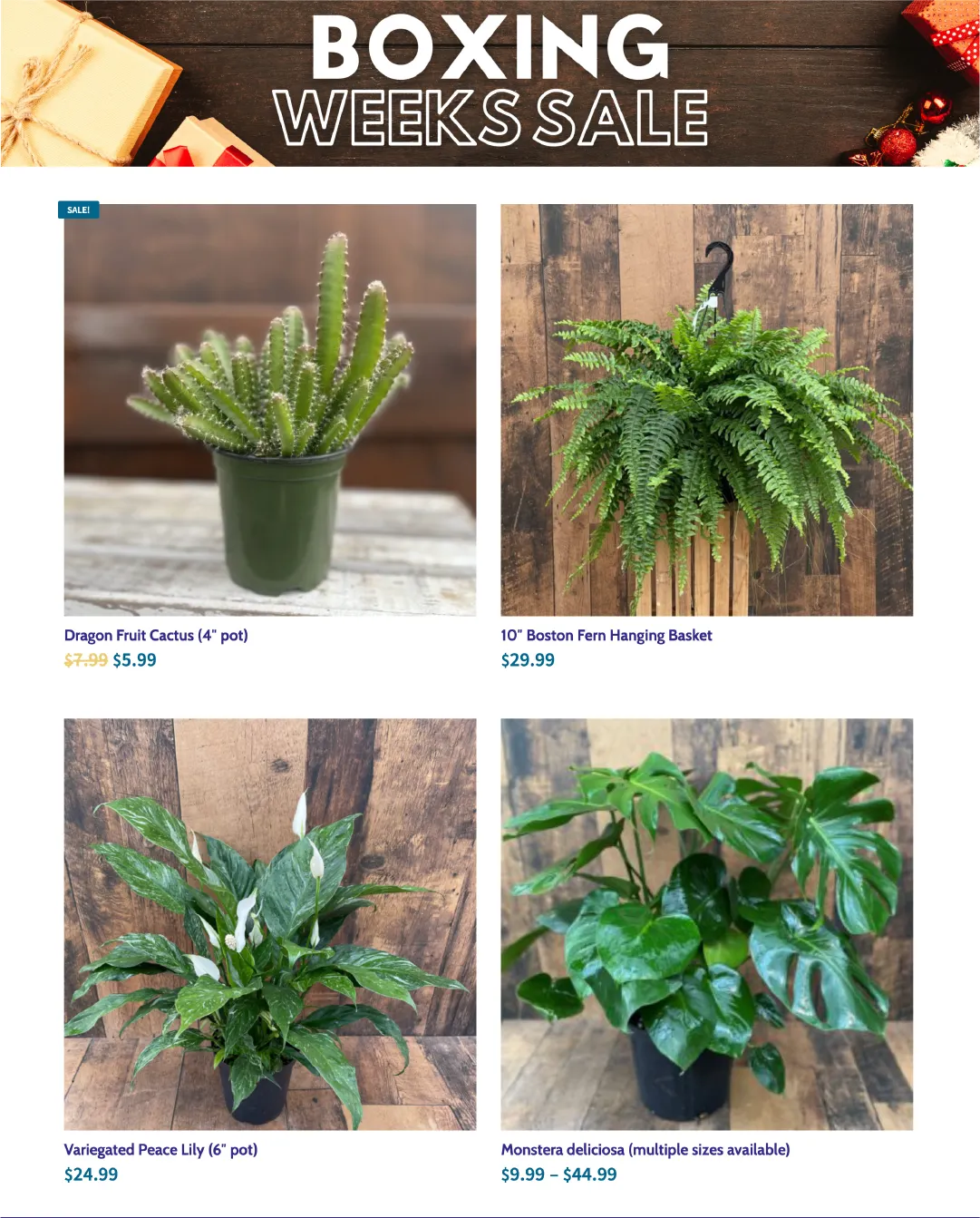 Terra Green Houses Sales from January 14 to January 31 2026 - flyer page 5