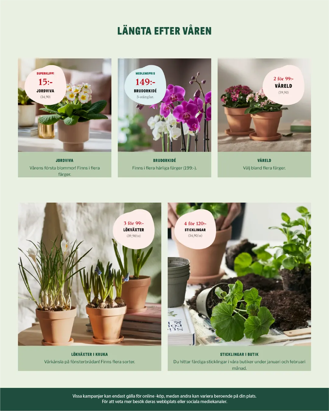  Blomsterlandet från 27 januari till 10 februari 2026 - Reklamblad sidor 5