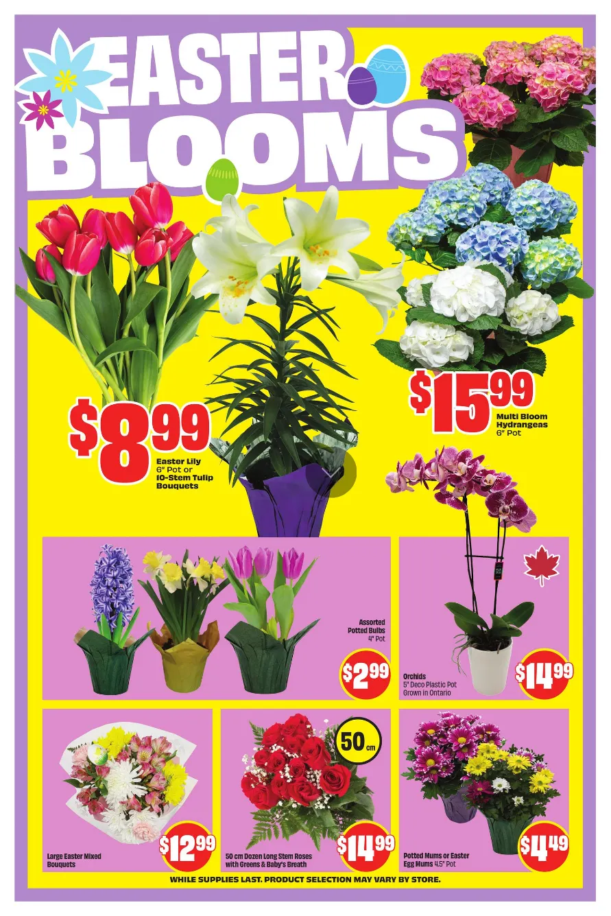 FreshCo. Sales from April 2 to April 8 2026 - flyer page 6