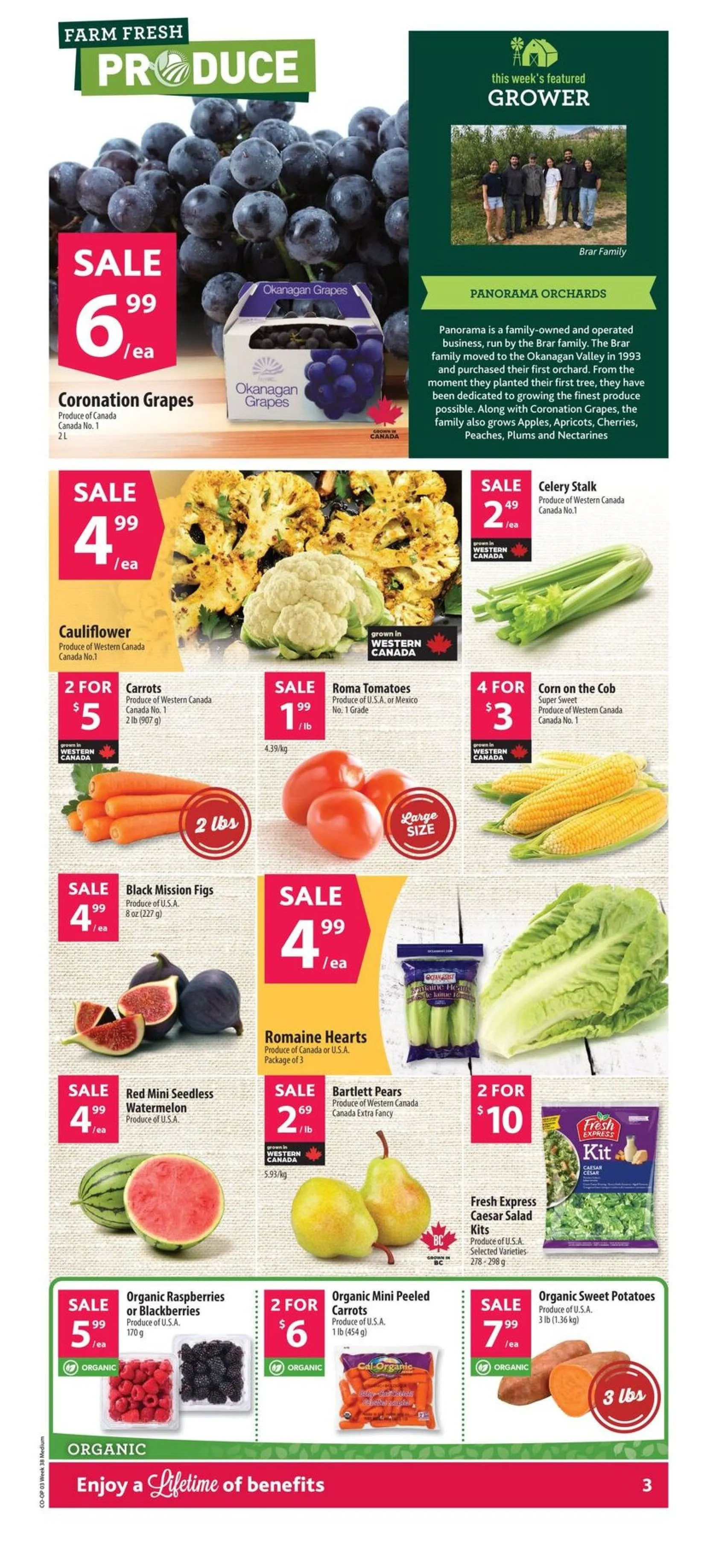 Co-op Food flyers from September 11 to September 18 2025 - flyer page 6