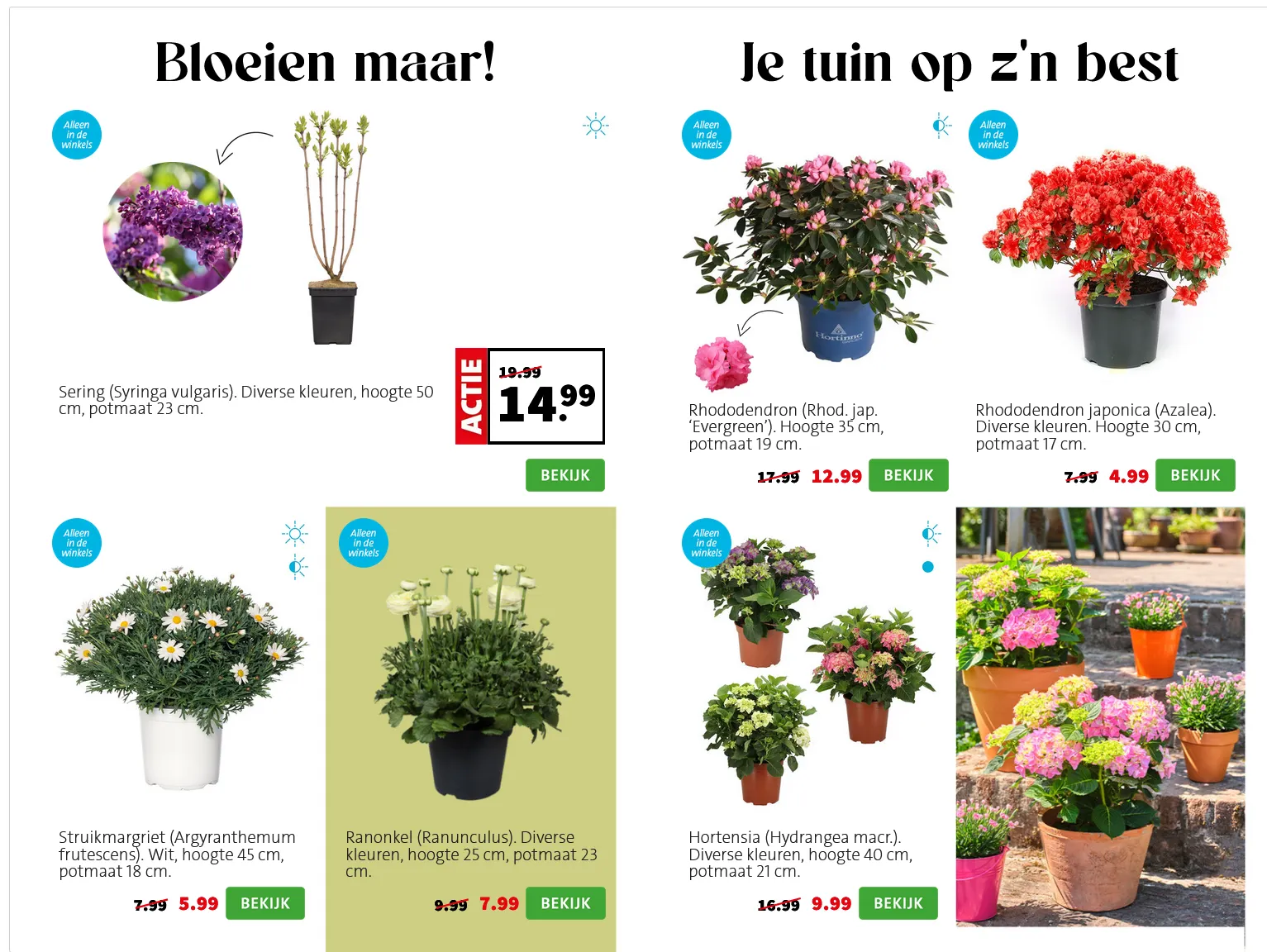 Intratuin folders van 6 april tot 12 april 2026 - Folder pagina 6