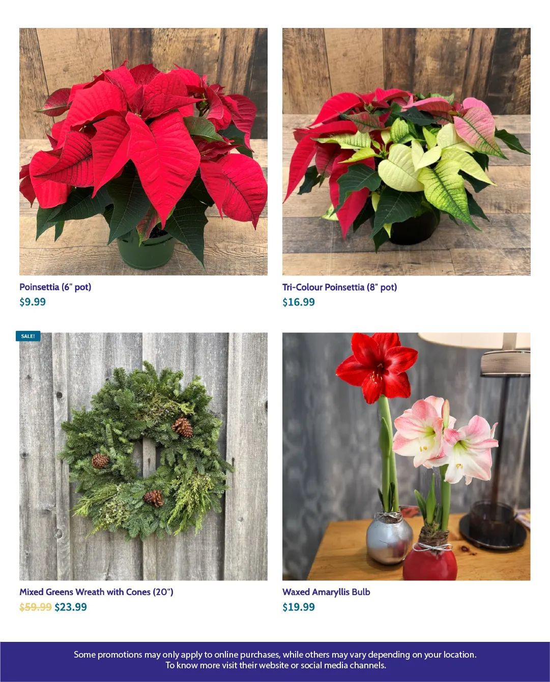 Terra Green Houses Sales from December 15 to January 4 2026 - flyer page 5