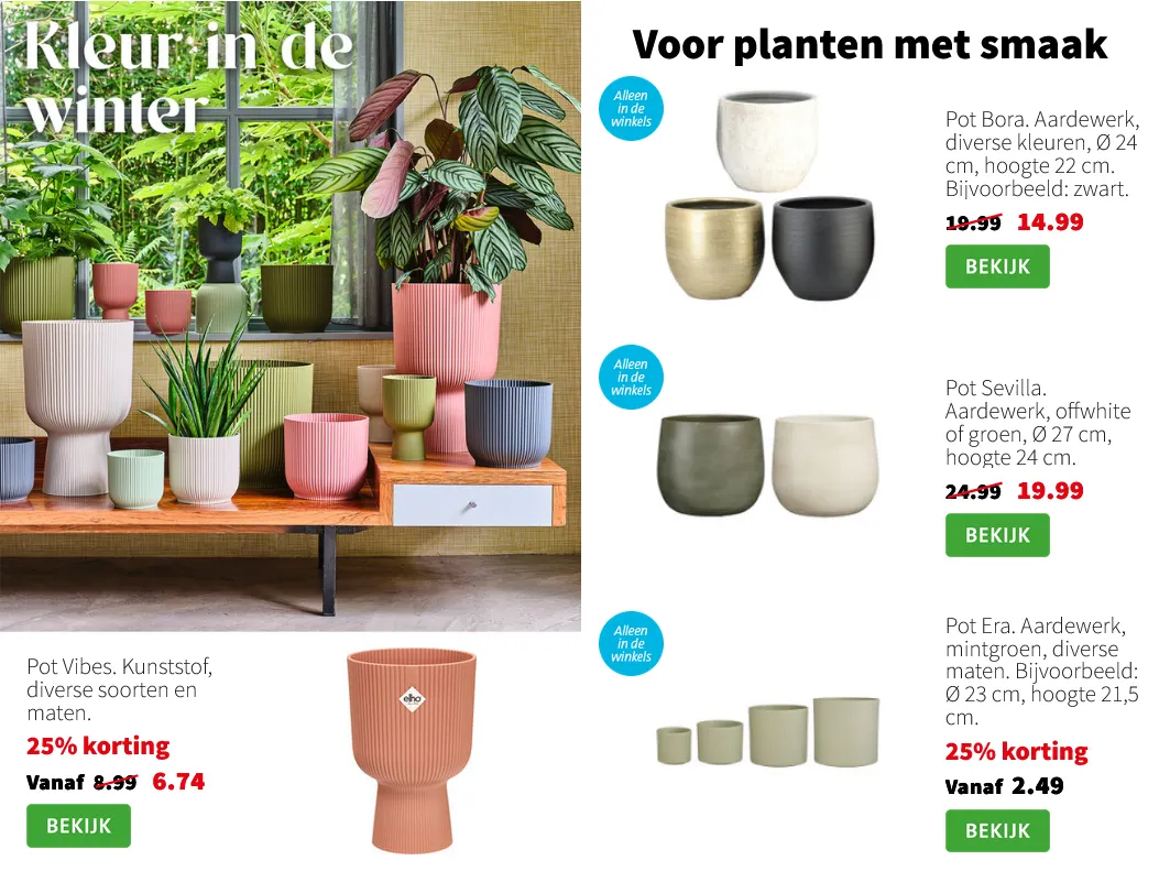 Intratuin Folders van 19 januari tot 25 januari 2026 - Folder pagina 6