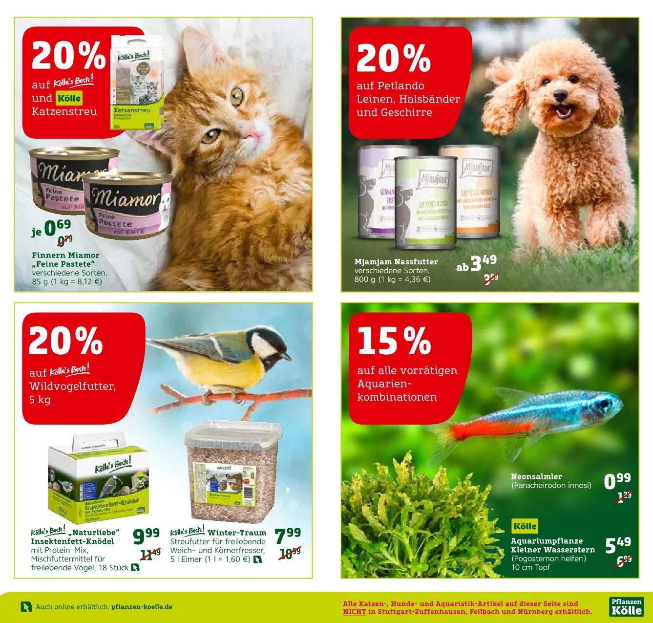 DE - Pflanzen-Kölle von 13. Februar bis 16. Februar 2025 - Prospekt seite 6