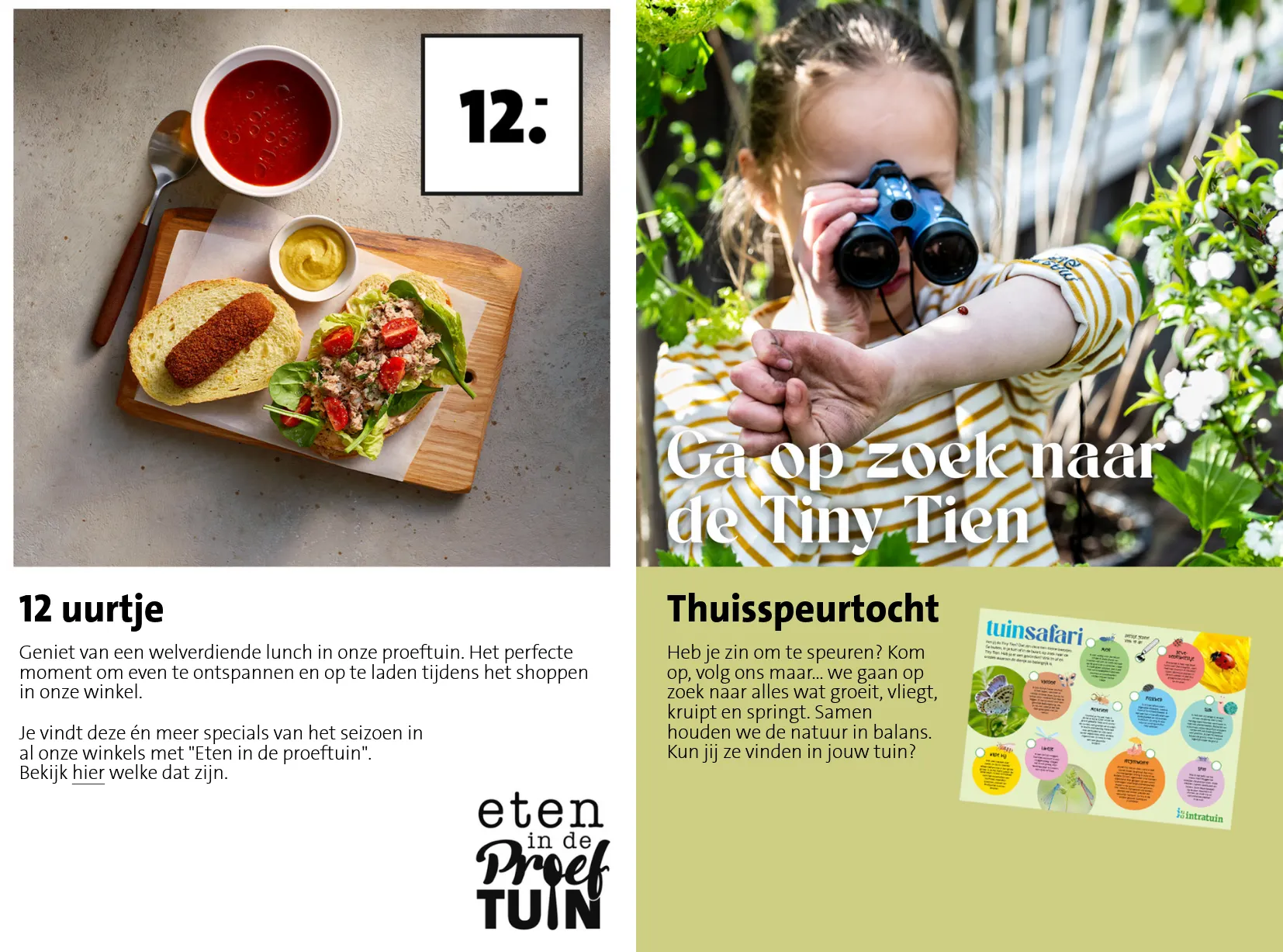 Intratuin folders van 11 mei tot 17 mei 2026 - Folder pagina 6