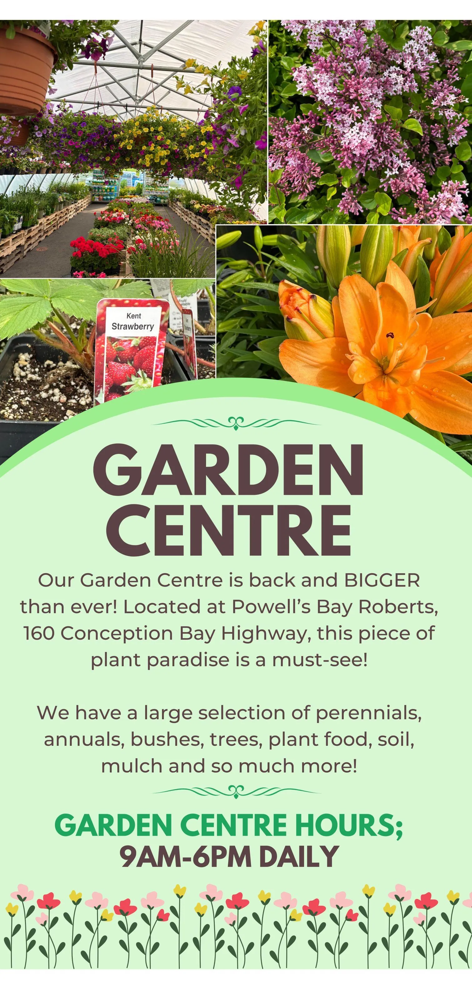 Powell's Supermarket Deals from June 19 to June 25 2025 - flyer page 6