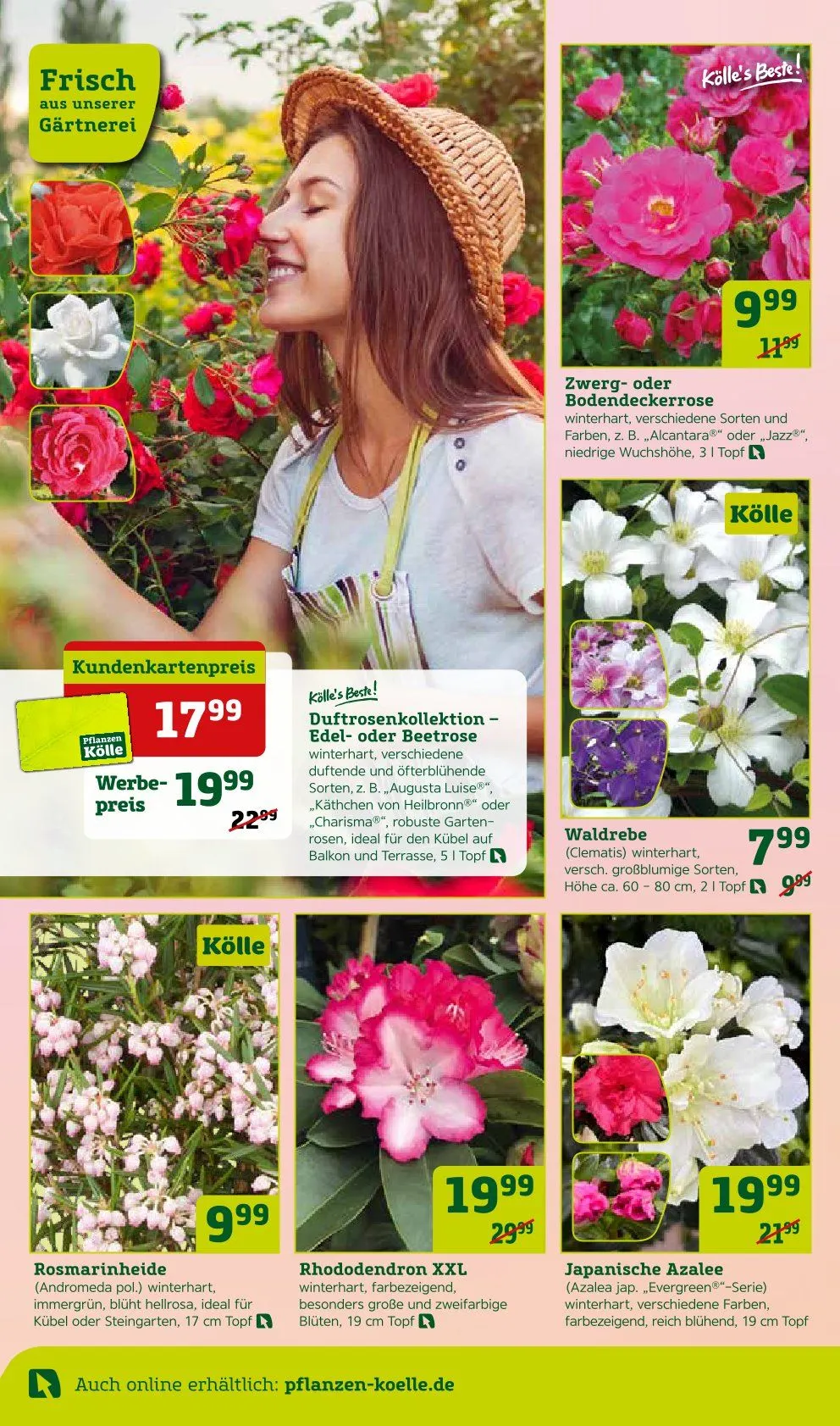 Angebote Pflanzen-Kölle von 31. März bis 6. April 2025 - Prospekt seite 6
