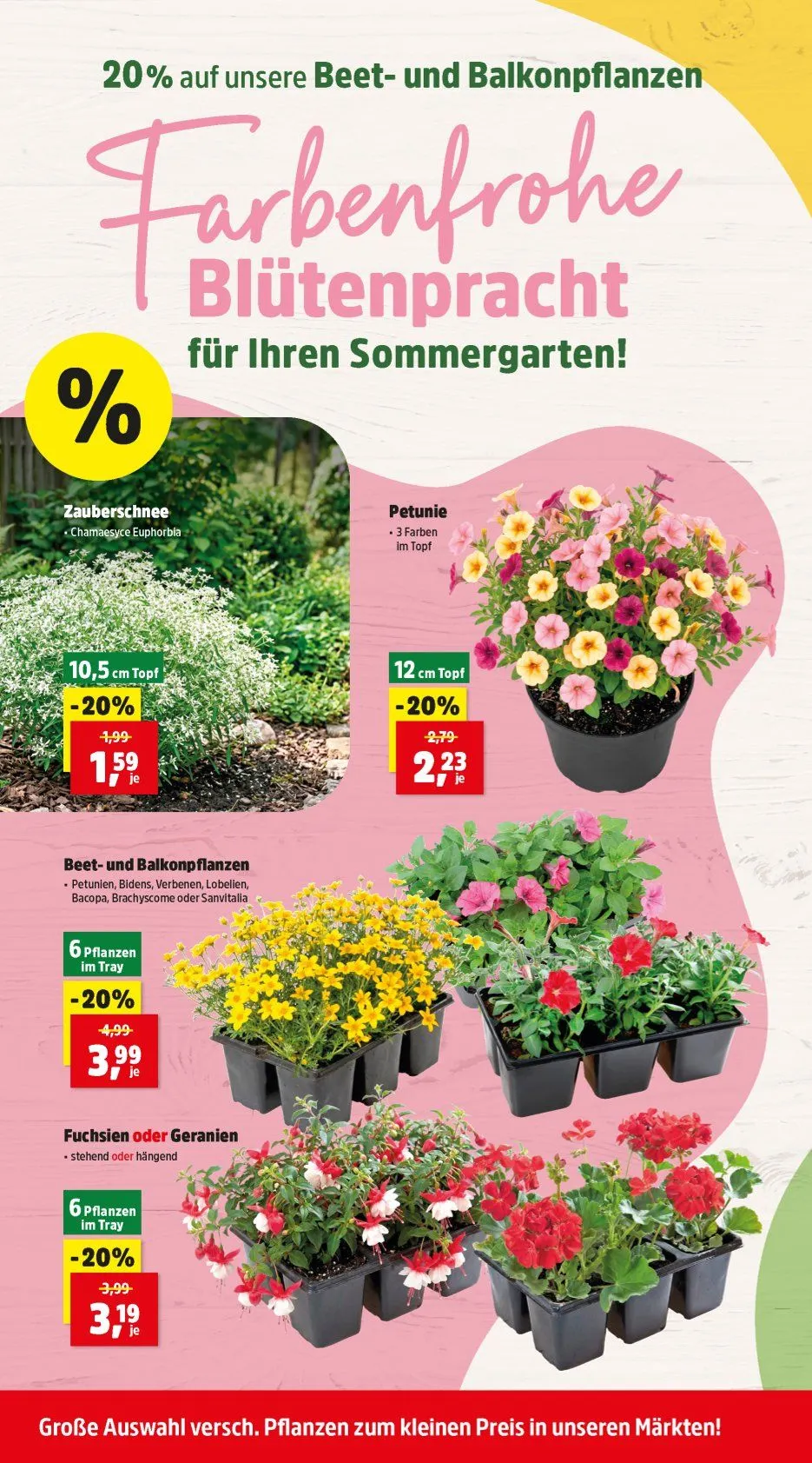 Thomas Philipps Prospekte von 8. Juni bis 13. Juni 2026 - Flugblätt seite 6