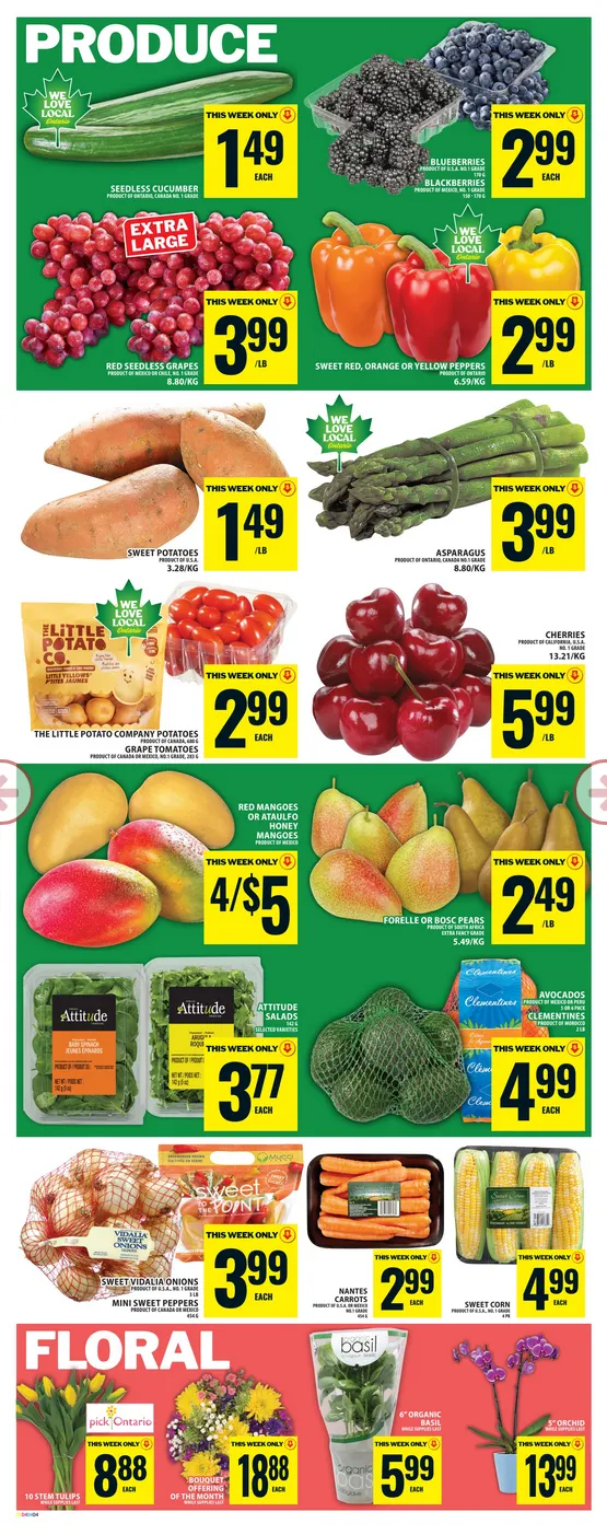 Food Basics Sales from May 14 to May 20 2026 - flyer page 6