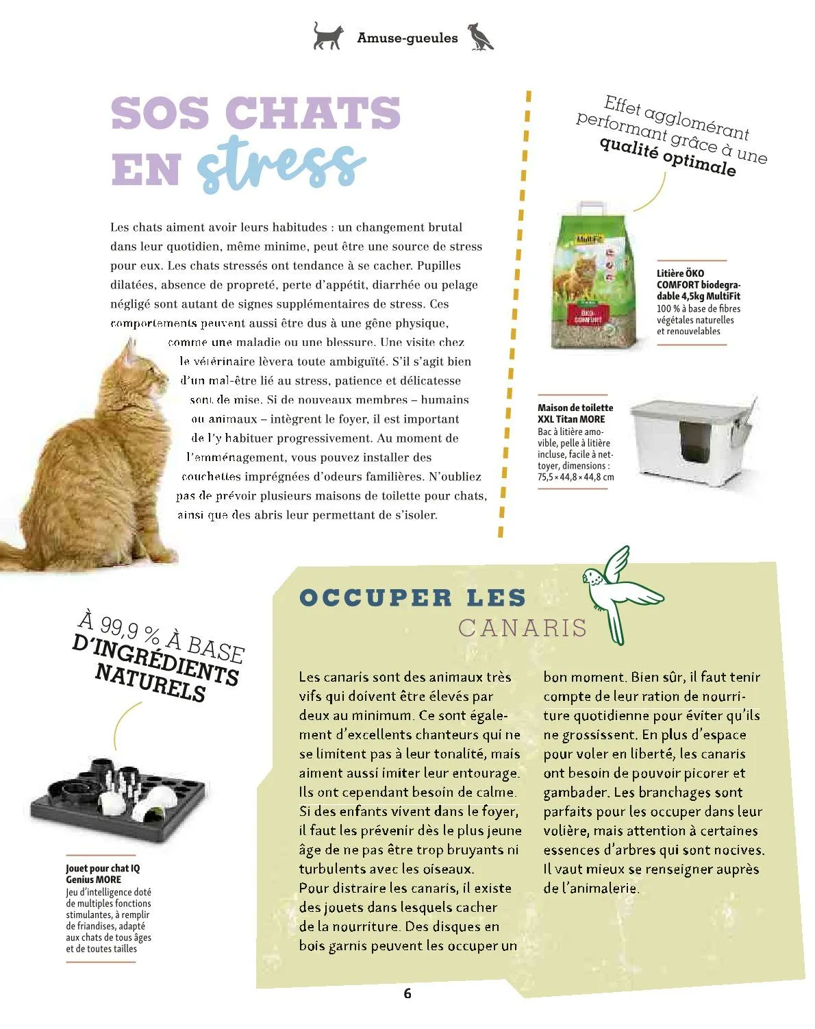 Maxi ZOO Catalogue du 23 décembre au 31 décembre 2025 - Catalogue page 6