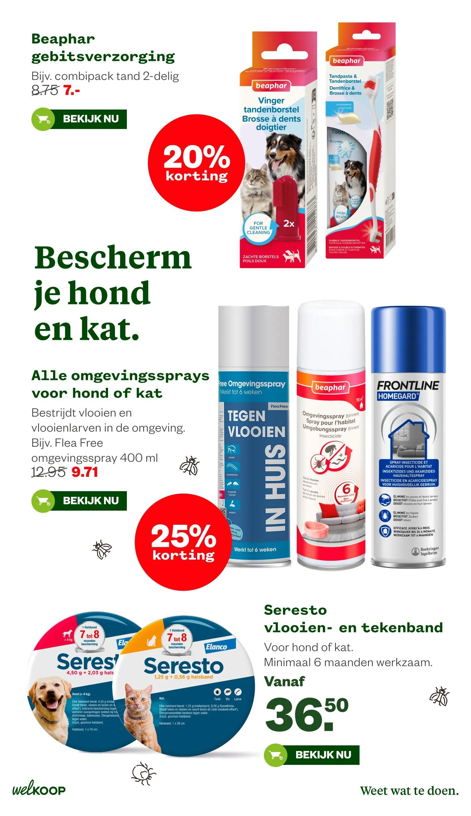 Welkoop folders van 8 juni tot 21 juni 2026 - Folder pagina 6