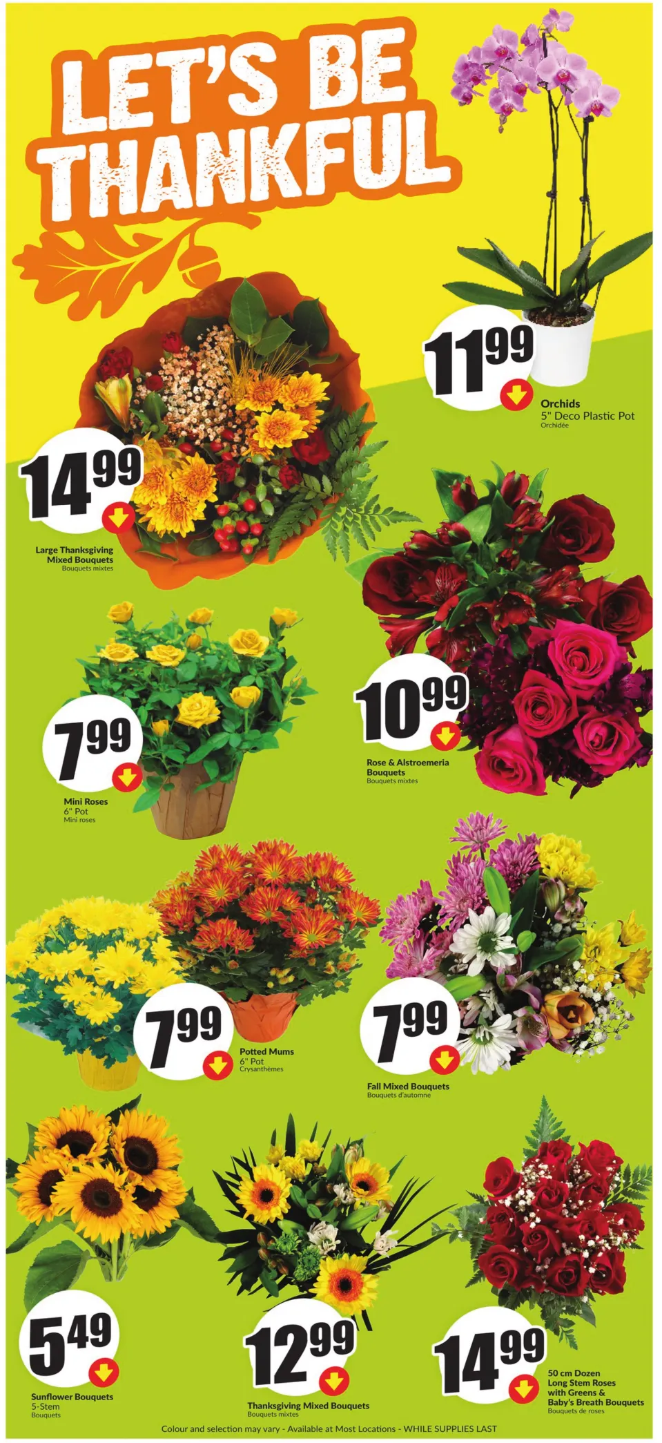 Freshco Clearance Sale from October 2 to October 9 2024 - flyer page 5