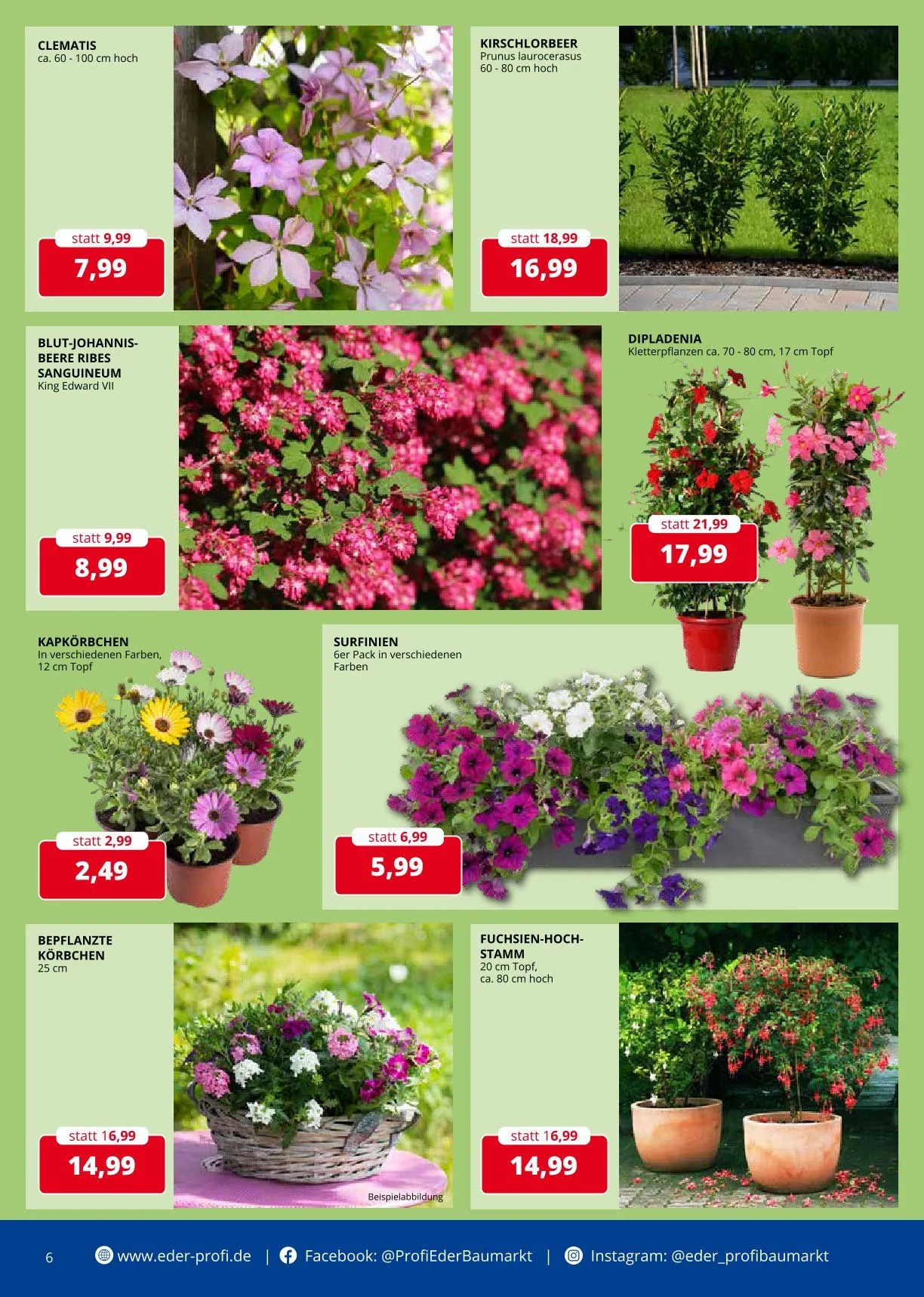 Eder Profi Prospekte von 16. April bis 22. April 2025 - Prospekt seite 6