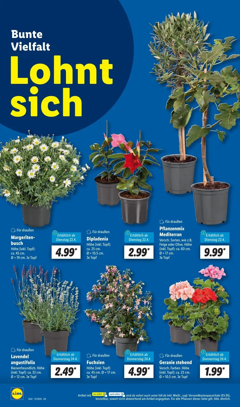 Lidl Angebote von 22. April bis 26. April 2025 - Prospekt seite 6