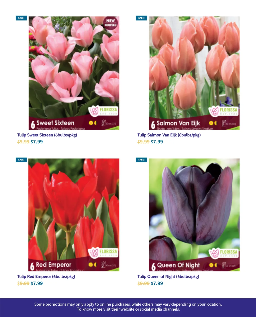 Flyer from October 15 to October 29 2025 - flyer page 5