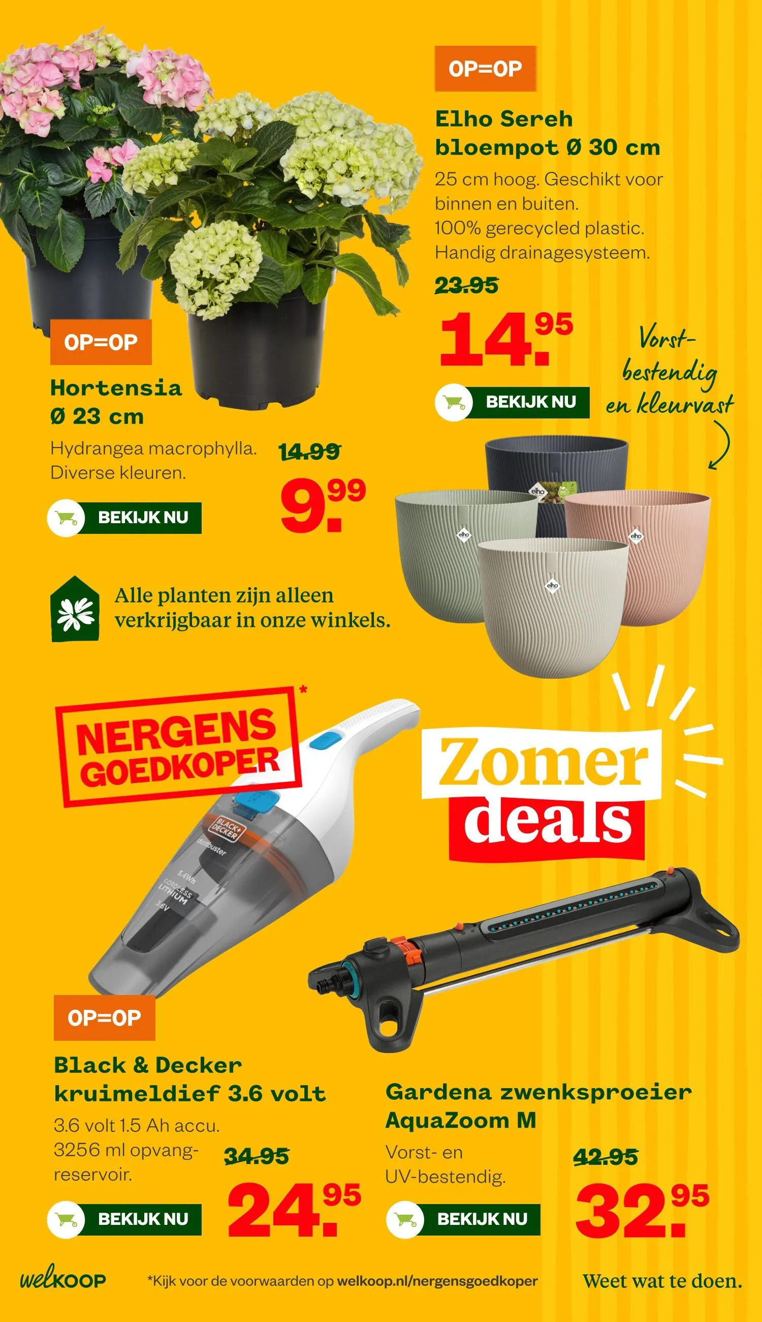 Welkoop foldersfolders van 6 juli tot 19 juli 2026 - Folder pagina 6