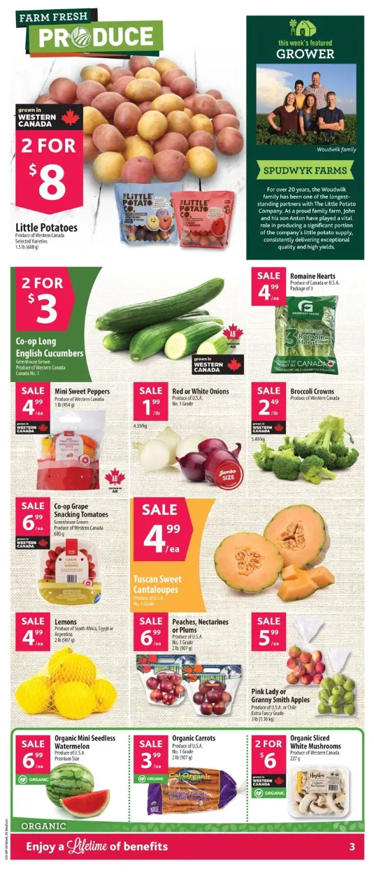 Co-op Food Sales from July 16 to July 22 2026 - flyer page 6