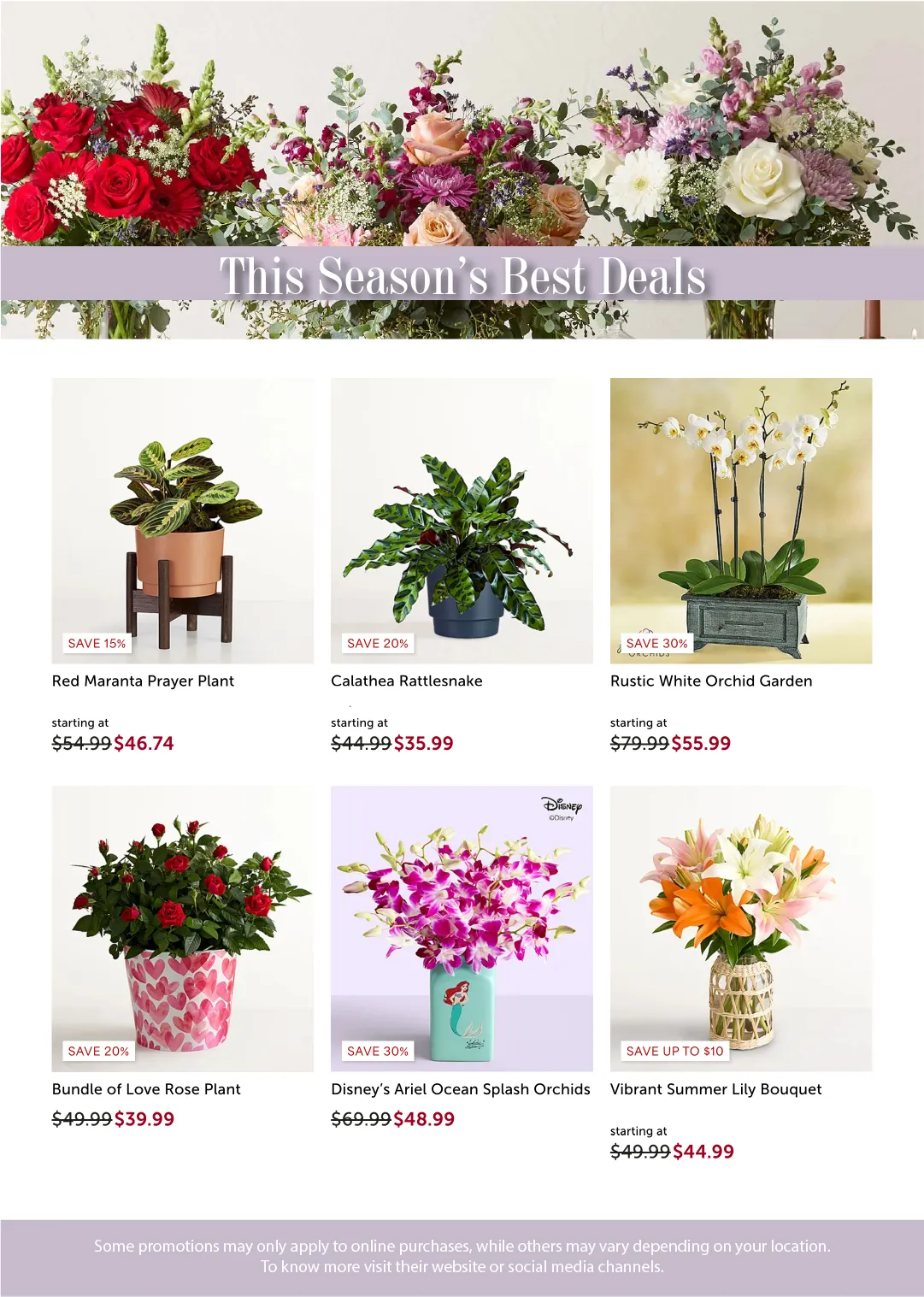 Weekly ad 1-800 Flowers Sales from May 29 to June 12 2026 - Page 5