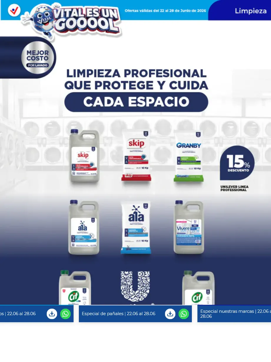 Ofertas de Vital Ofertas 22 de junio al 28 de junio 2026 - Página 6 del catálogo