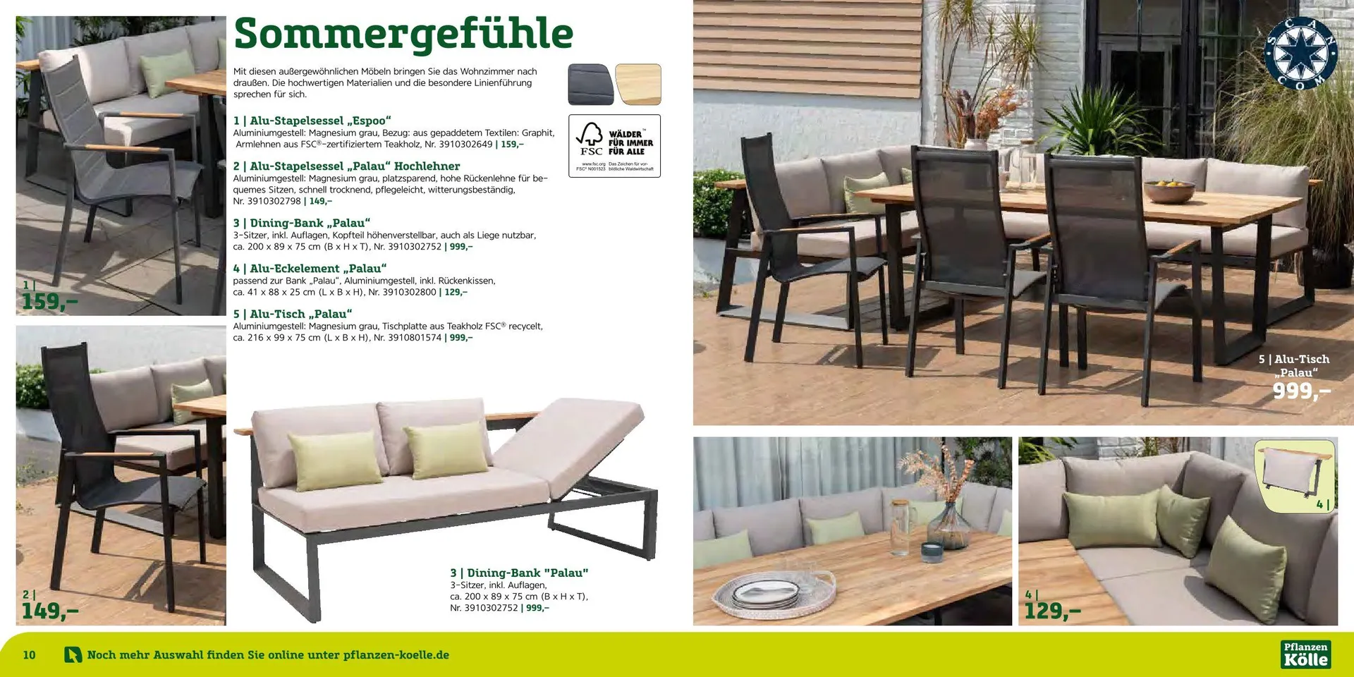 Prospekt Pflanzen-Kölle  von 12. August bis 7. September 2025 - Prospekt seite 6