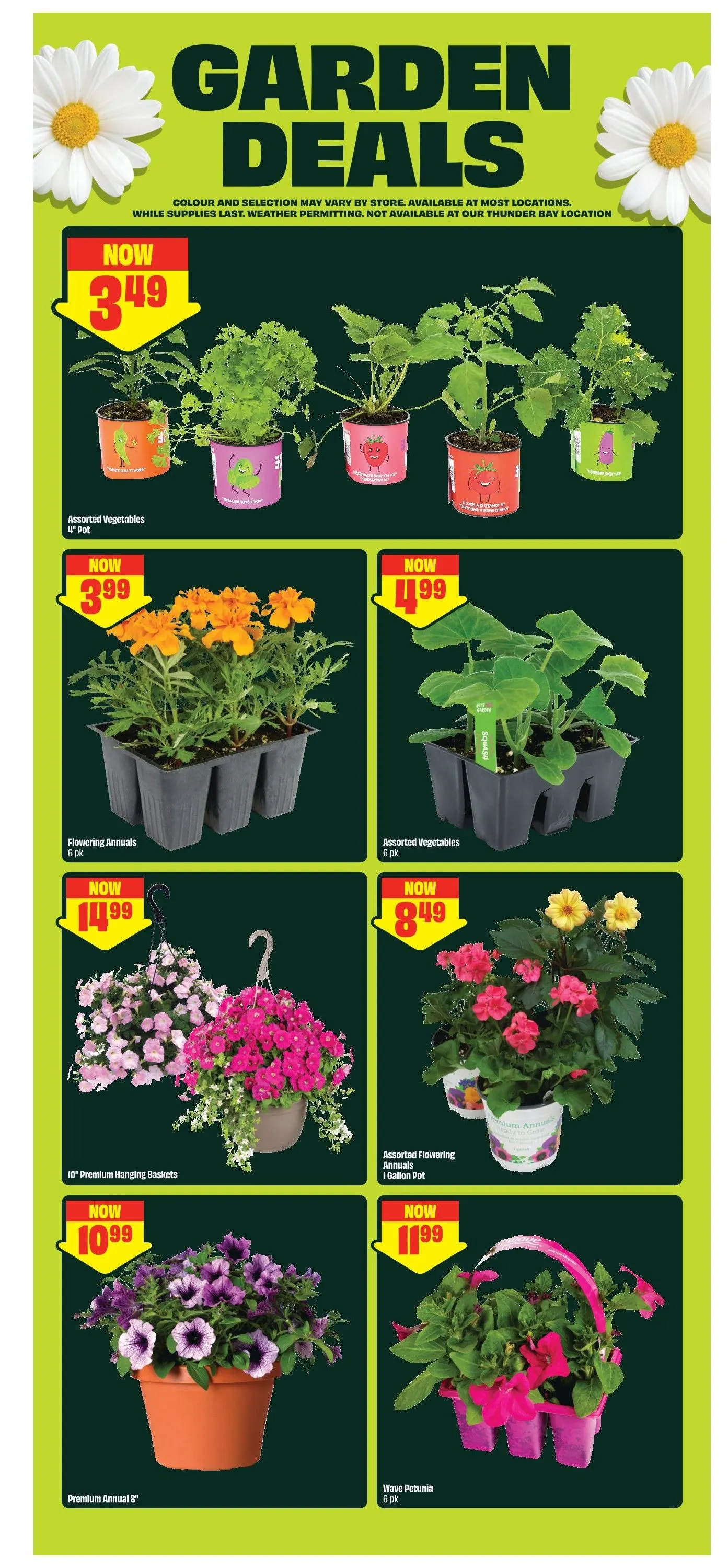 FreshCo. Sales from May 18 to May 23 2026 - flyer page 6