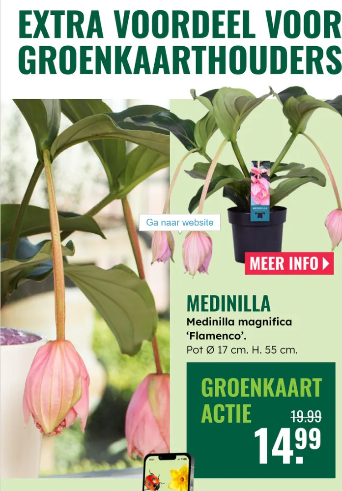 GroenRijk folders van 7 mei tot 13 mei 2026 - Folder pagina 6