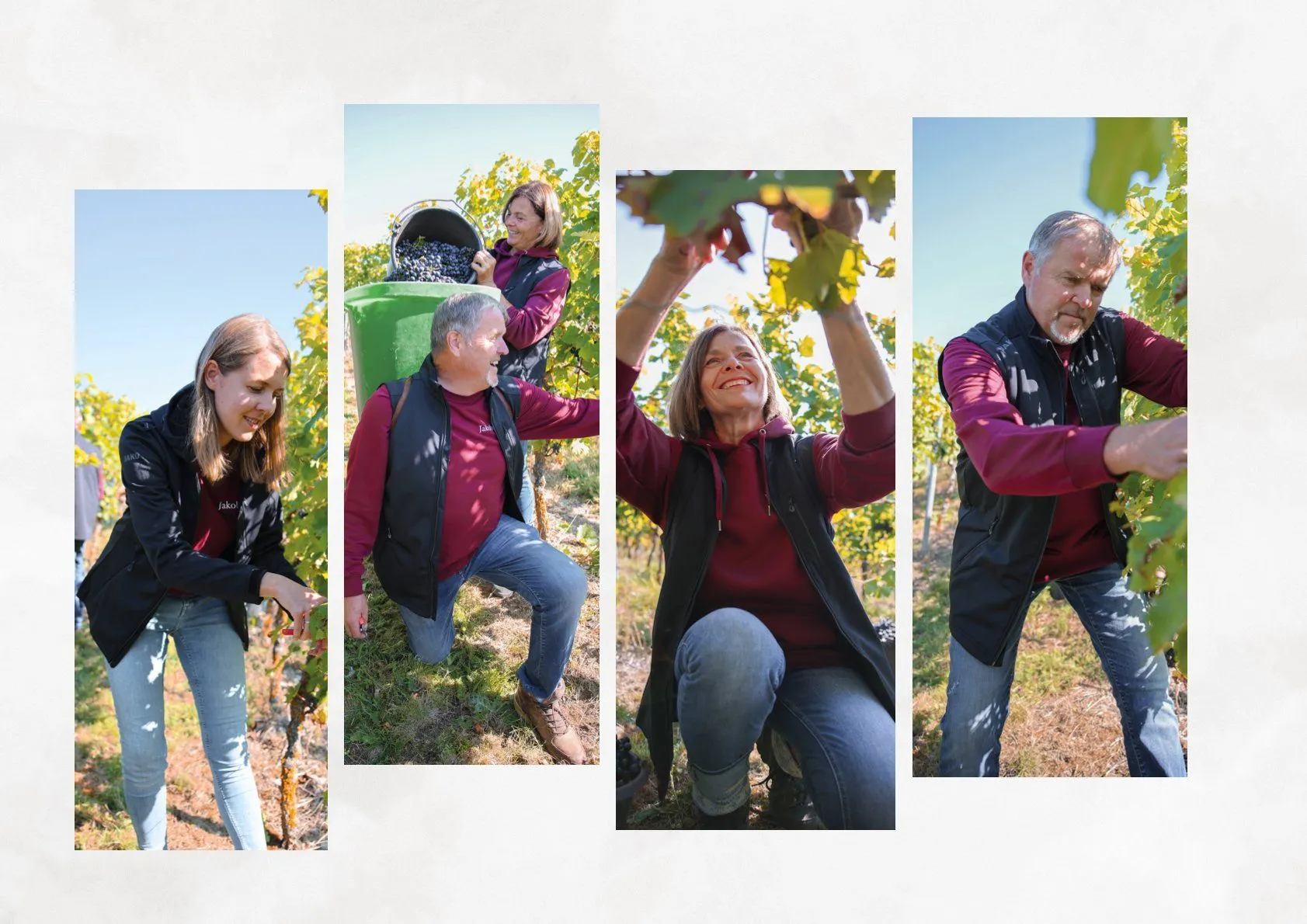 Jako Prospekt von 22. Januar bis 31. Dezember 2025 - Prospekt seite 98