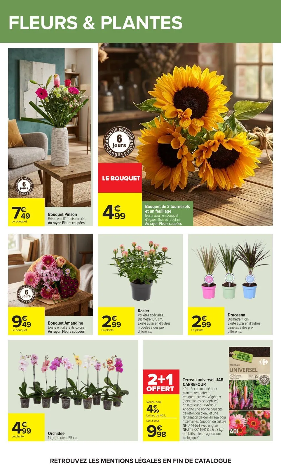 Catalogues Carrefour du 28 juillet au 10 août 2026 - Catalogue page 62
