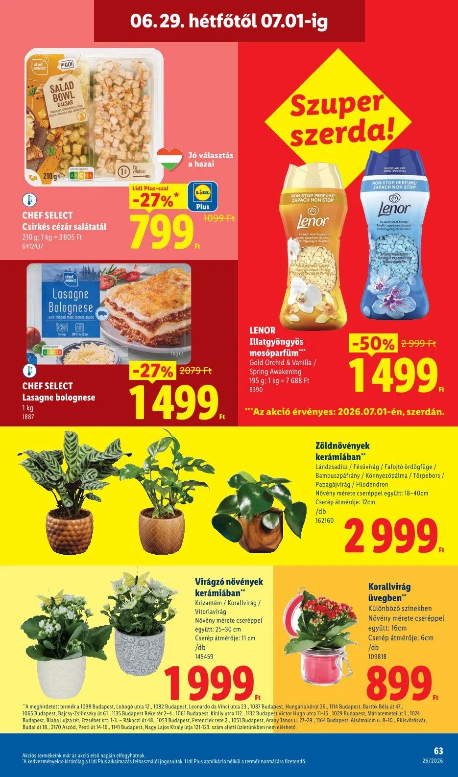 Katalógus Lidl legfrissebb ajánlatai június 25.-tól július 7.-ig 2026. - Oldal 63