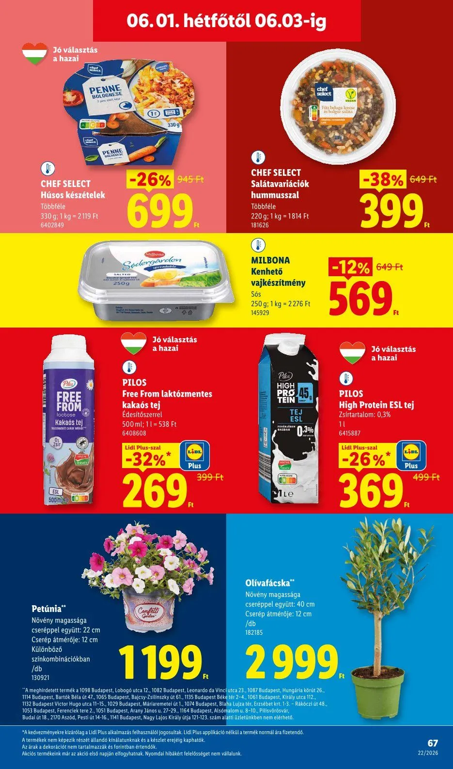 Katalógus  Lidl legfrissebb  május 28.-tól június 3.-ig 2026. - Oldal 67