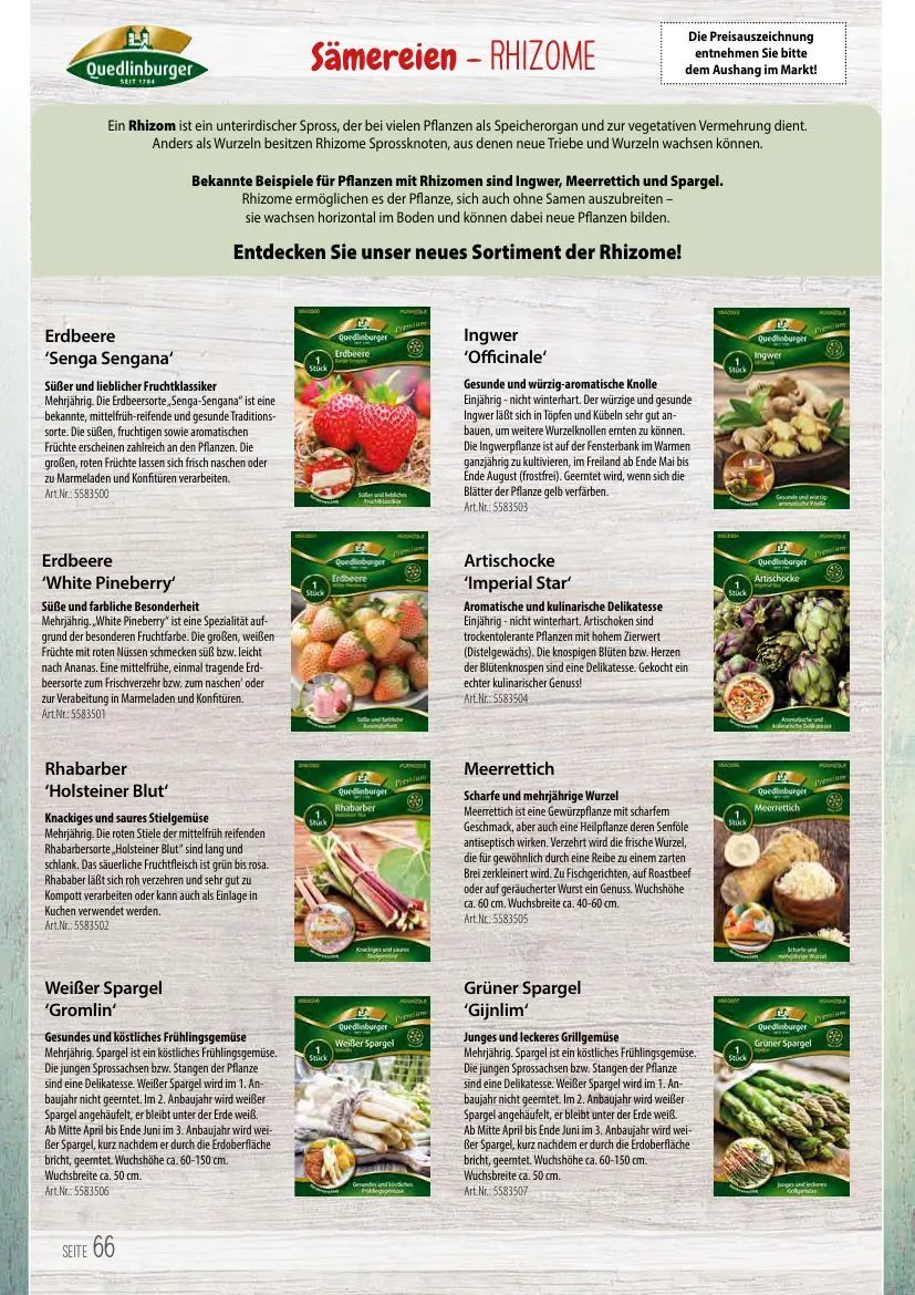 KIEBITZMARKT Angebote von 15. Mai bis 21. Mai 2026 - Prospekt seite 66