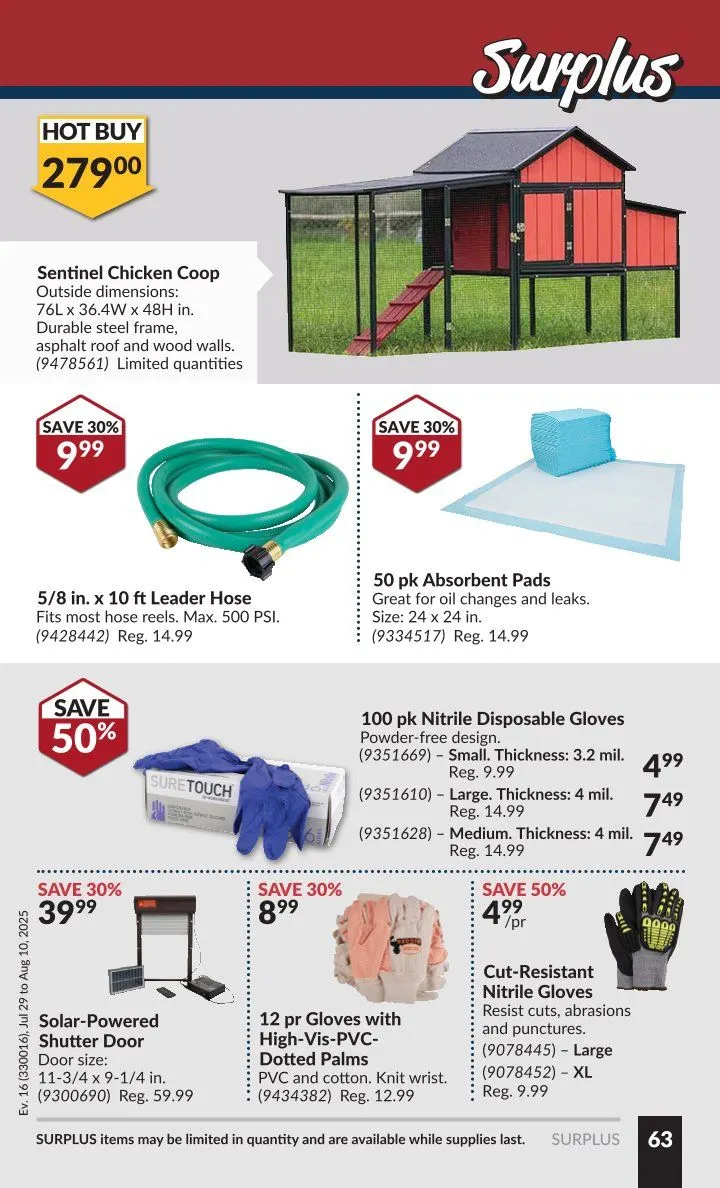 Flyer from July 29 to August 10 2025 - flyer page 70