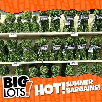 Weekly ad Big Lots weekly ads from May 7 to May 11 2026 - Page 2