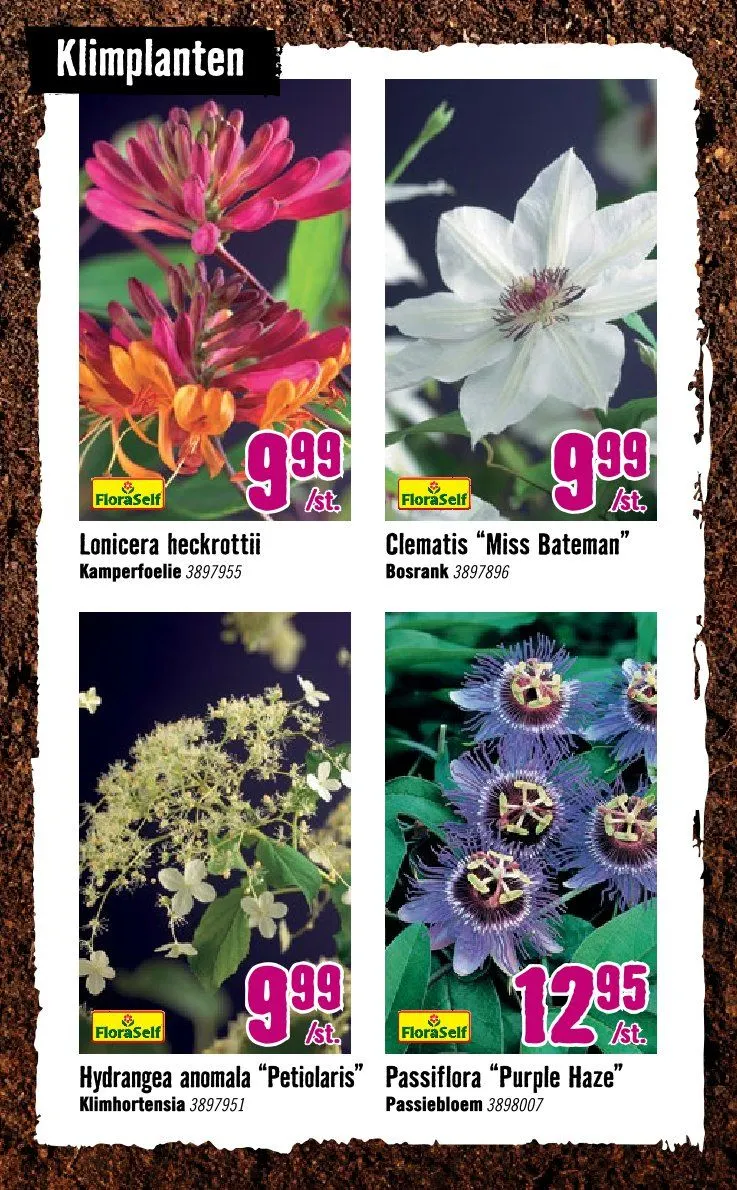 Hornbach folders van 8 april tot 3 mei 2026 - Folder pagina 7