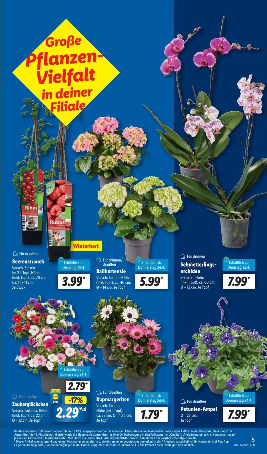 Lidl Angebote von 22. April bis 26. April 2025 - Prospekt seite 7