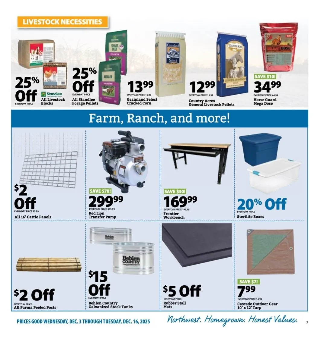 Weekly promotion Bi-Mart Sales spanning from December 10 to December 16 2025 - Page 7 for Catalogue 365