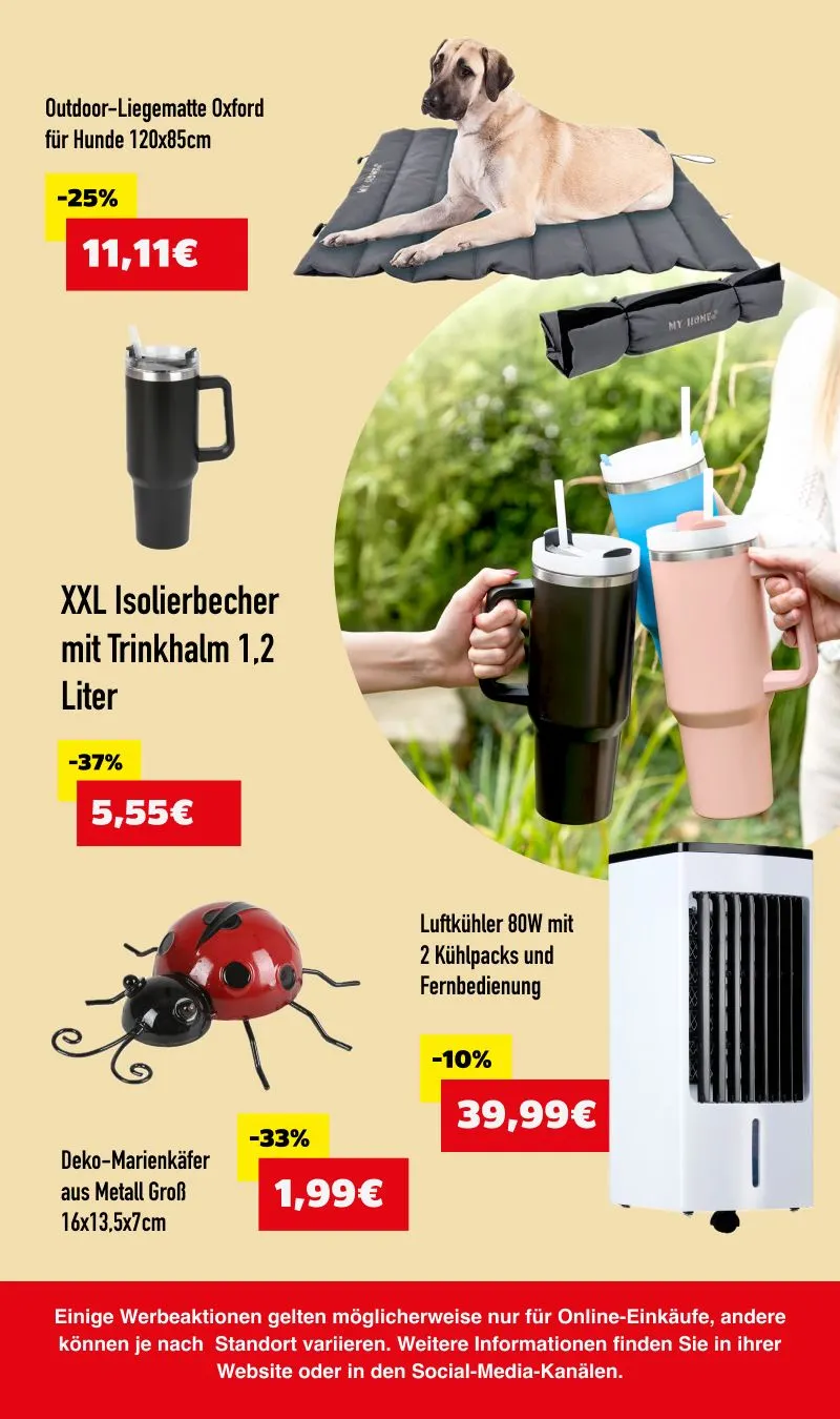 Rabatte von 25. Juni bis 10. Juli 2025 - Prospekt seite 6