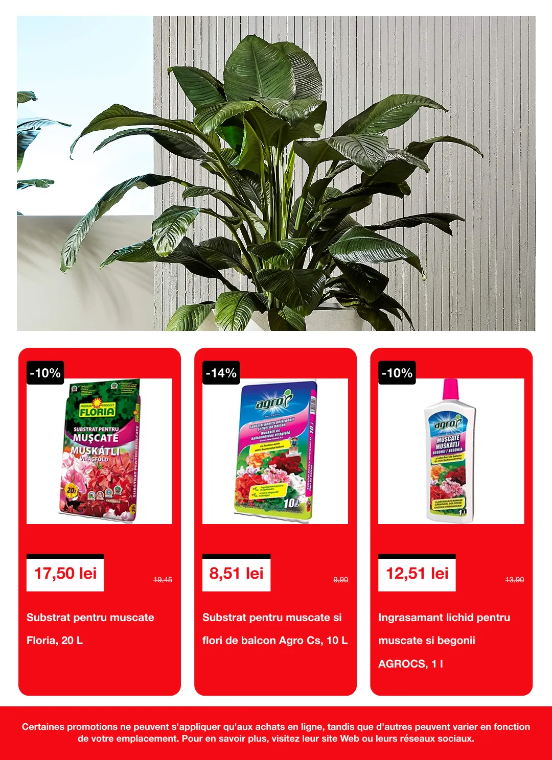 Catalog  Brico Depot de la 16 aprilie până la 6 mai 2026 - Revista Pagina 7