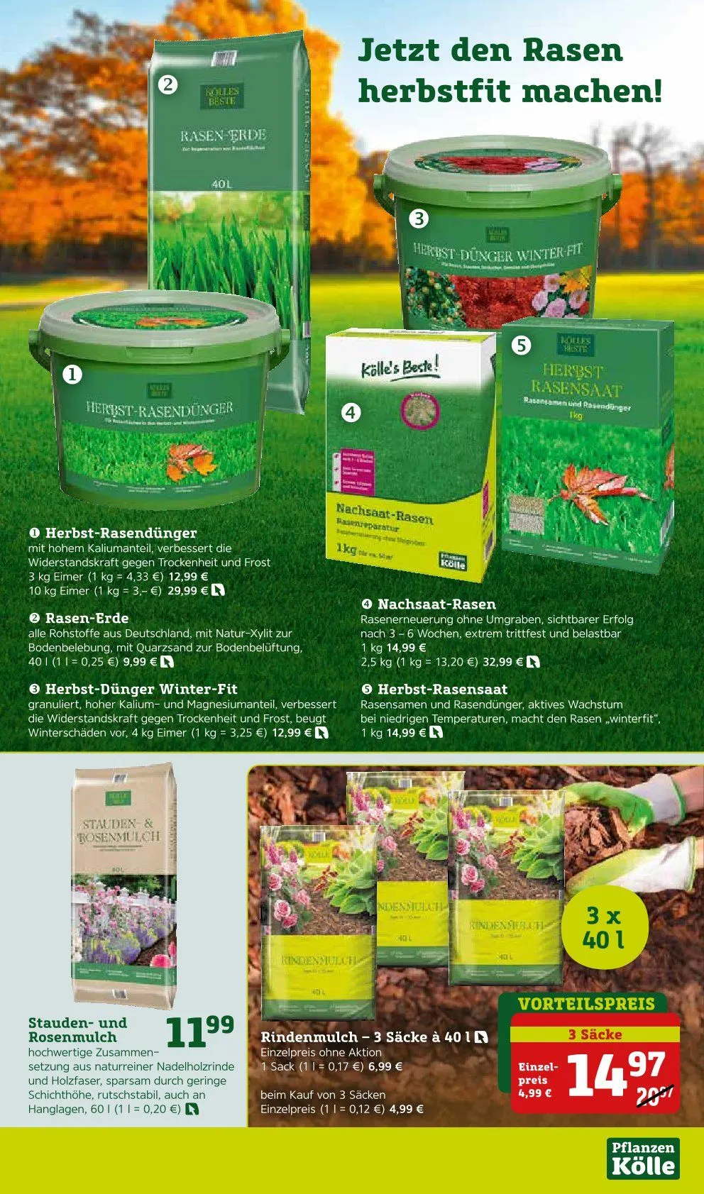 Prospekt Pflanzen-Kölle von 8. September bis 14. September 2025 - Prospekt seite 7