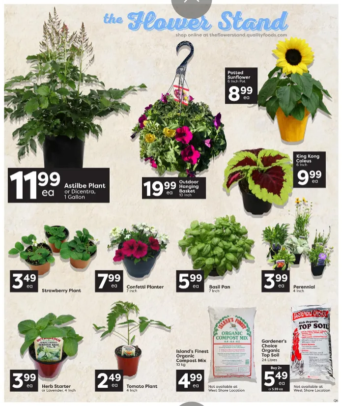 Quality Foods Sales from May 14 to May 20 2026 - flyer page 7