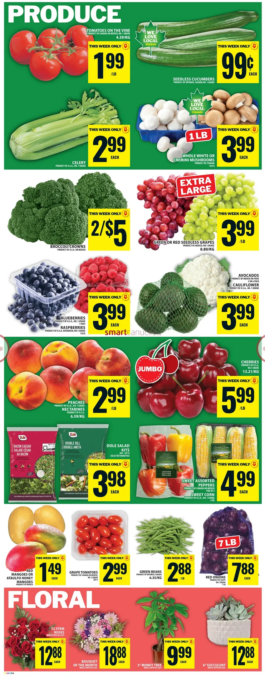 Food Basics Sales from June 11 to June 17 2026 - flyer page 7