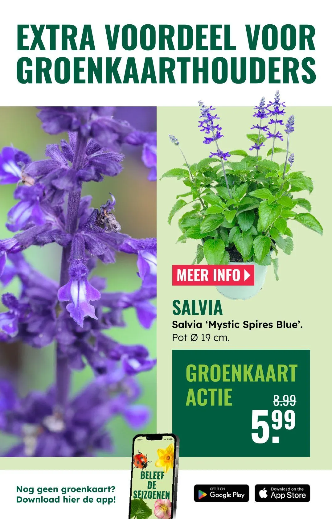 GroenRijk folders van 18 juni tot 24 juni 2026 - Folder pagina 7