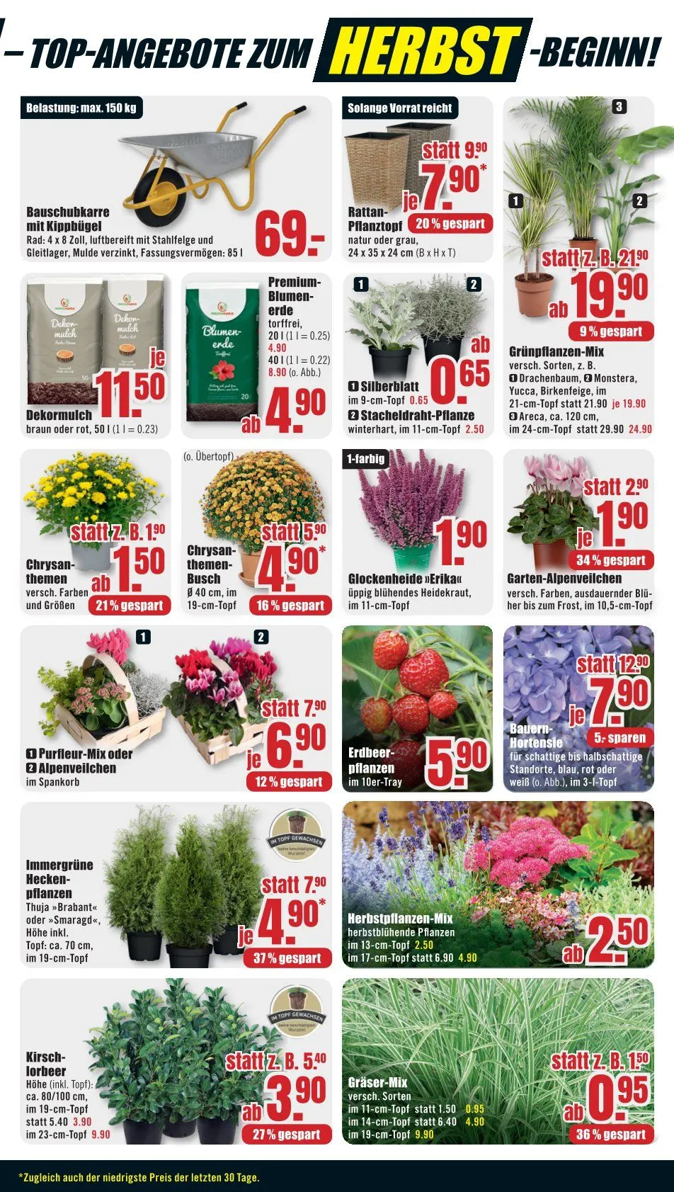 B1 Discount Baumarkt Prospekte von 30. August bis 9. September 2025 - Prospekt seite 7