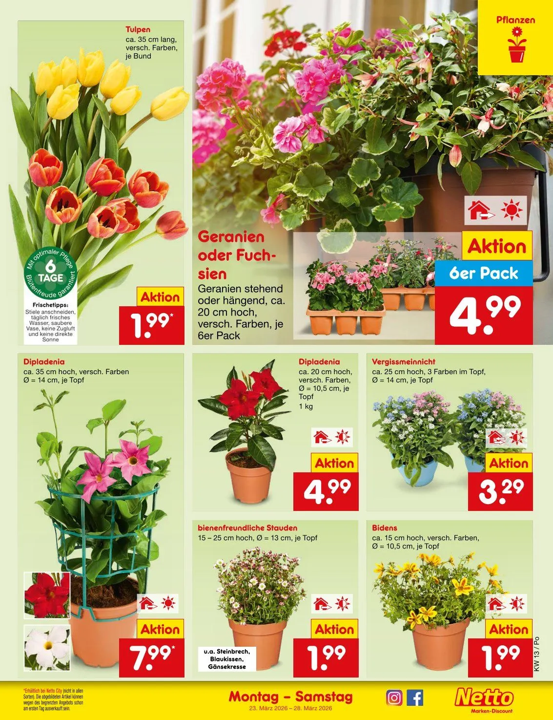 Netto Marken-Discount Prospekte von 23. März bis 28. März 2026 - Prospekt seite 7