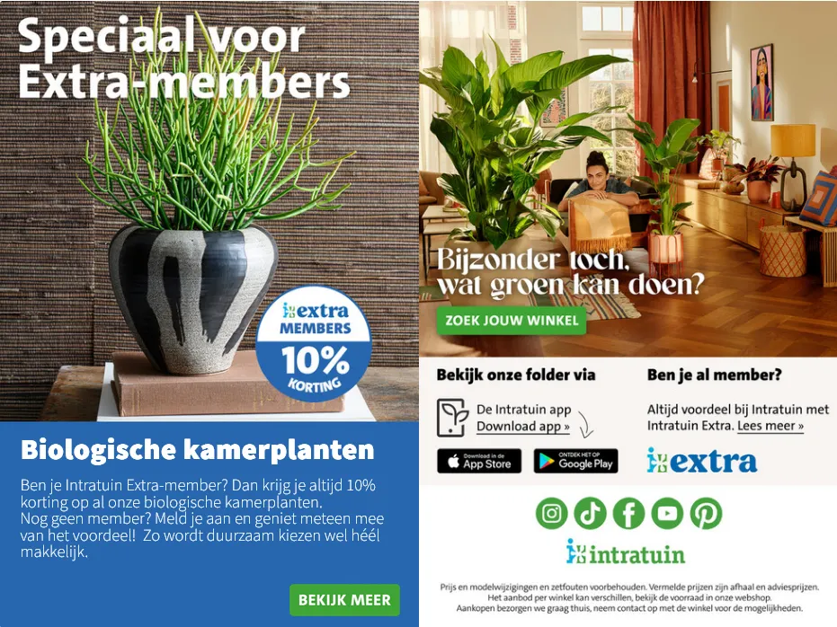 Intratuin folders van 26 januari tot 1 februari 2026 - Folder pagina 7