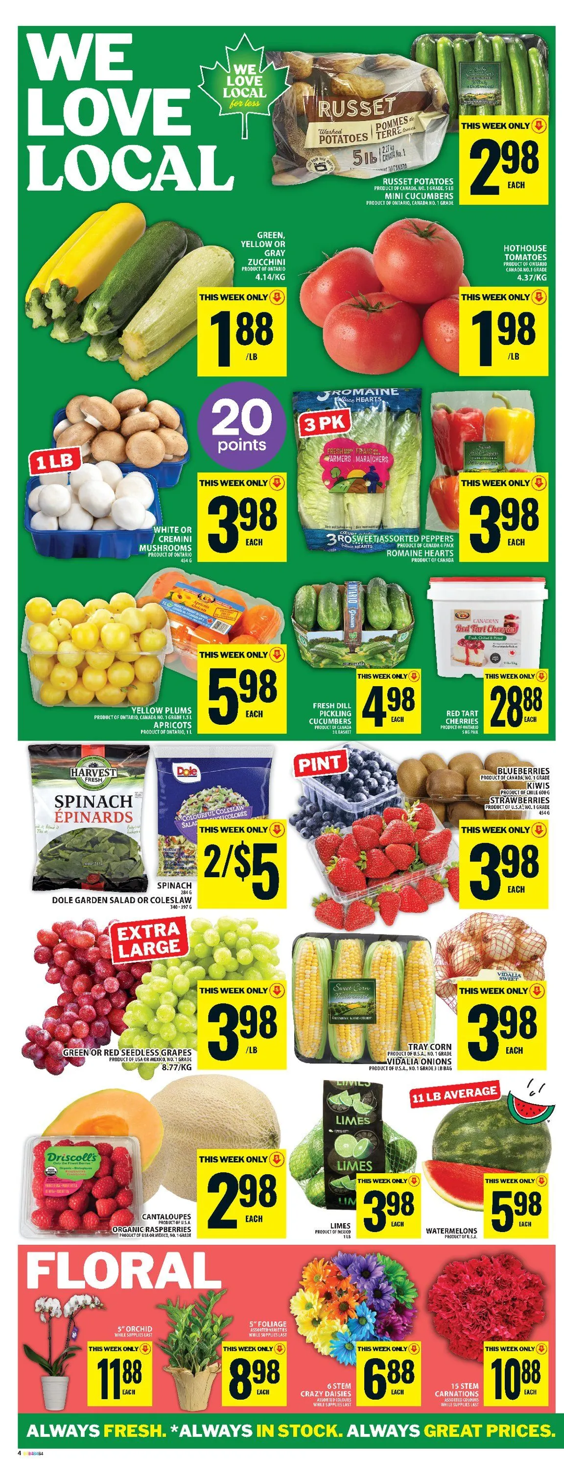 Food Basics Sales from July 17 to July 23 2025 - flyer page 7