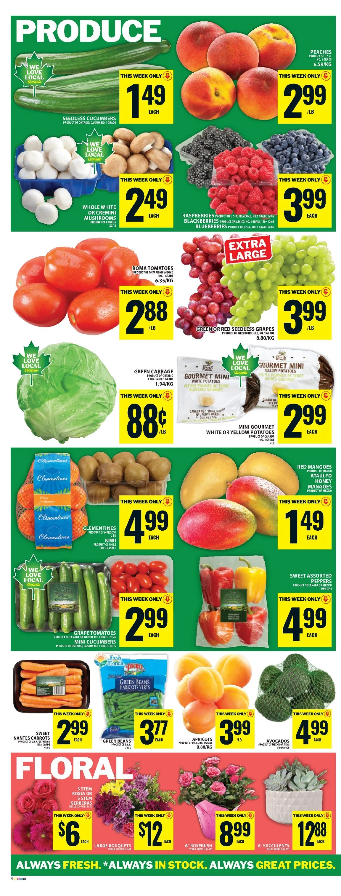 Food Basics Sales from May 21 to May 27 2026 - flyer page 7