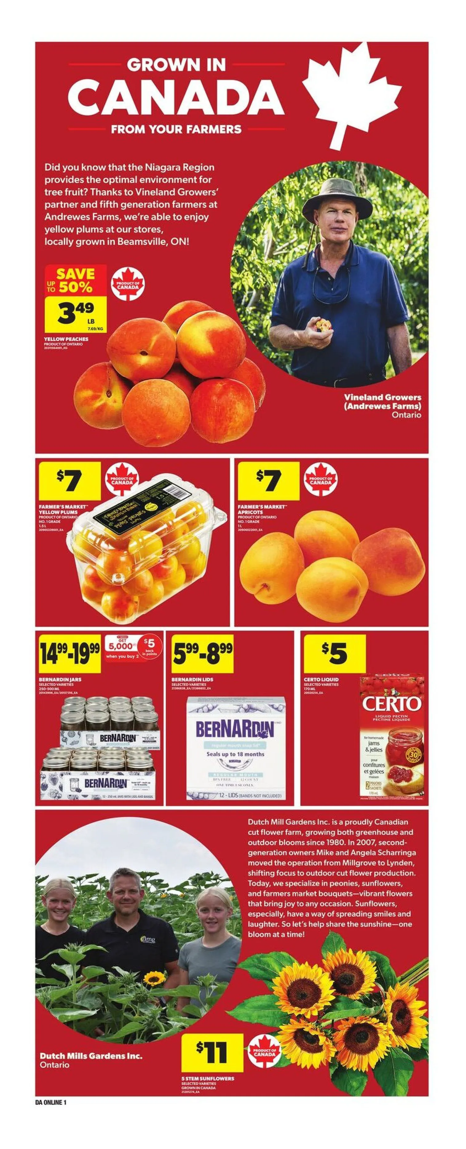 Dominion Sales from July 31 to August 6 2025 - flyer page 7