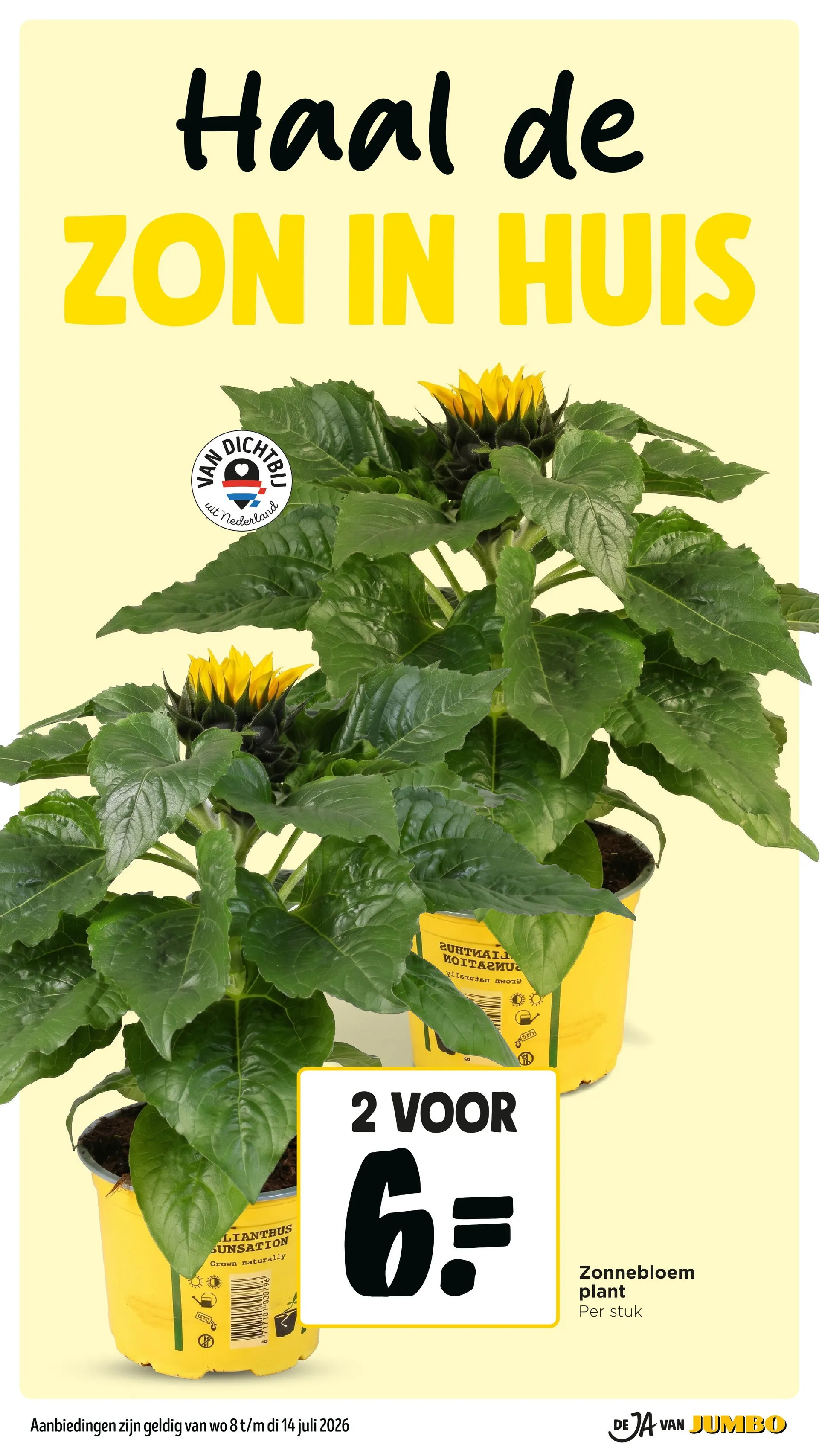 Jumbo folders van 8 juli tot 14 juli 2026 - Folder pagina 7
