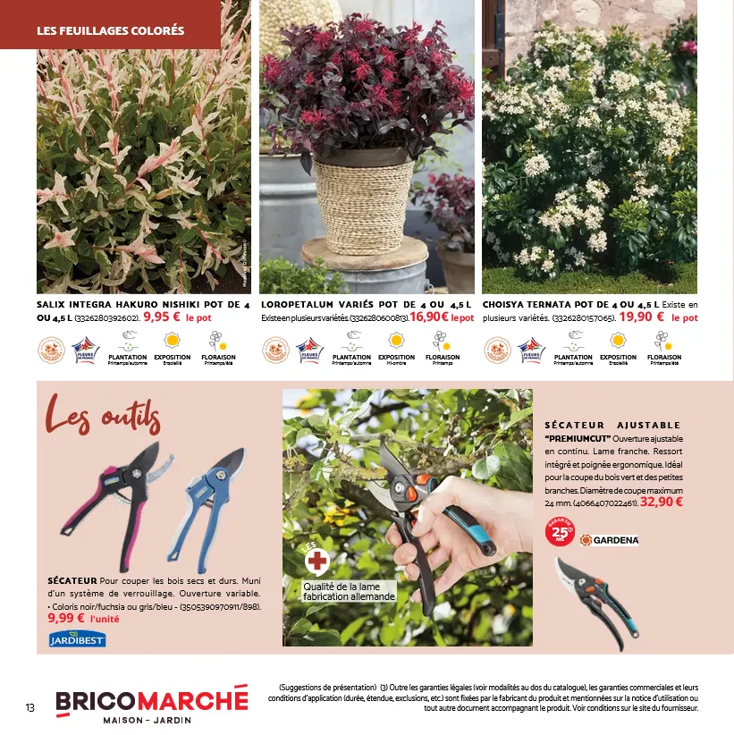 Catalogues Tridôme du 31 octobre au 29 novembre 2025 - Catalogue page 7